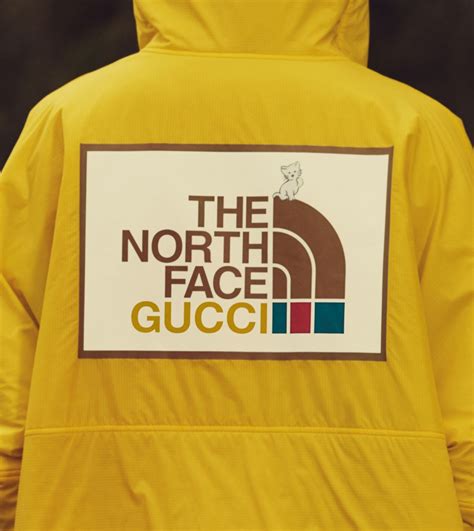 north fave x gucci|Gucci north face price.